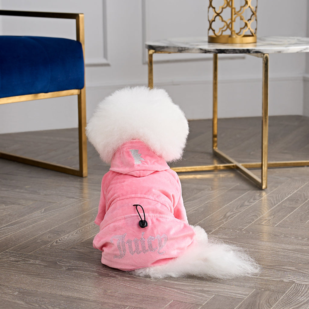 juicy couture dog stroller Juicy Couture Bling Velour Pet Tracksuit