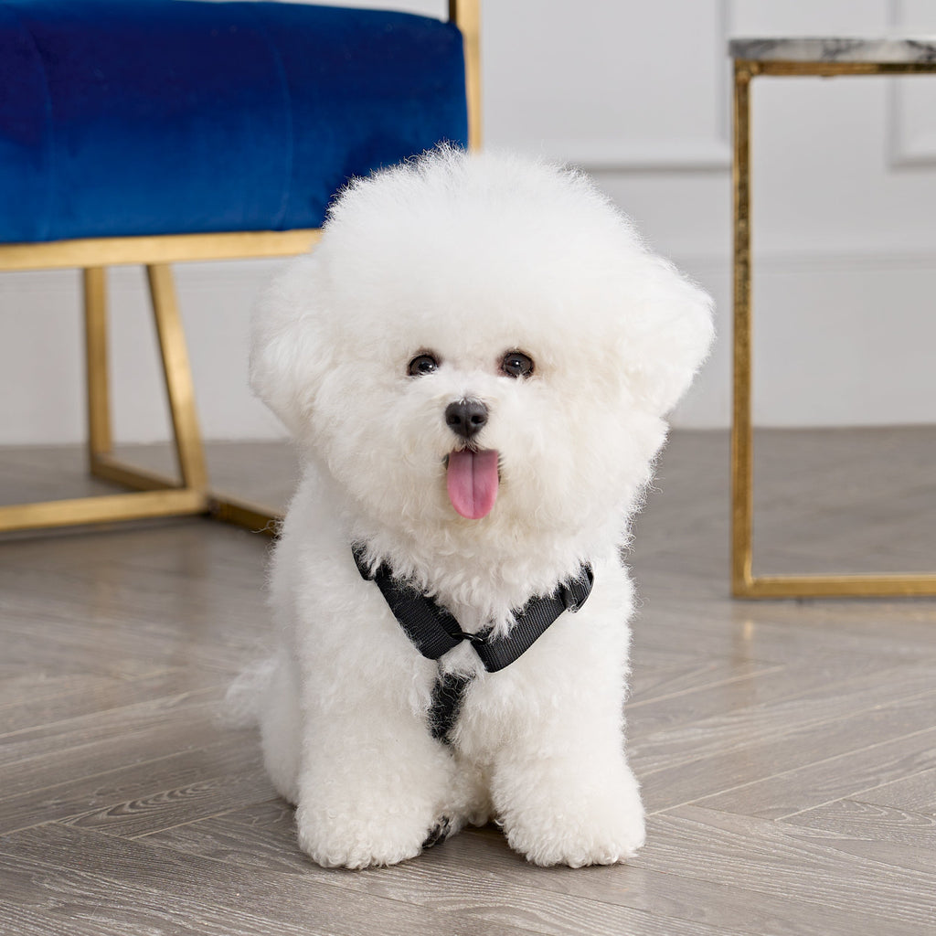 Jupe De Noël Hartstrings Velours Noir Et Blanc Motif Chien Scotty Strass Taille 5 - Occasion Très Bon état
