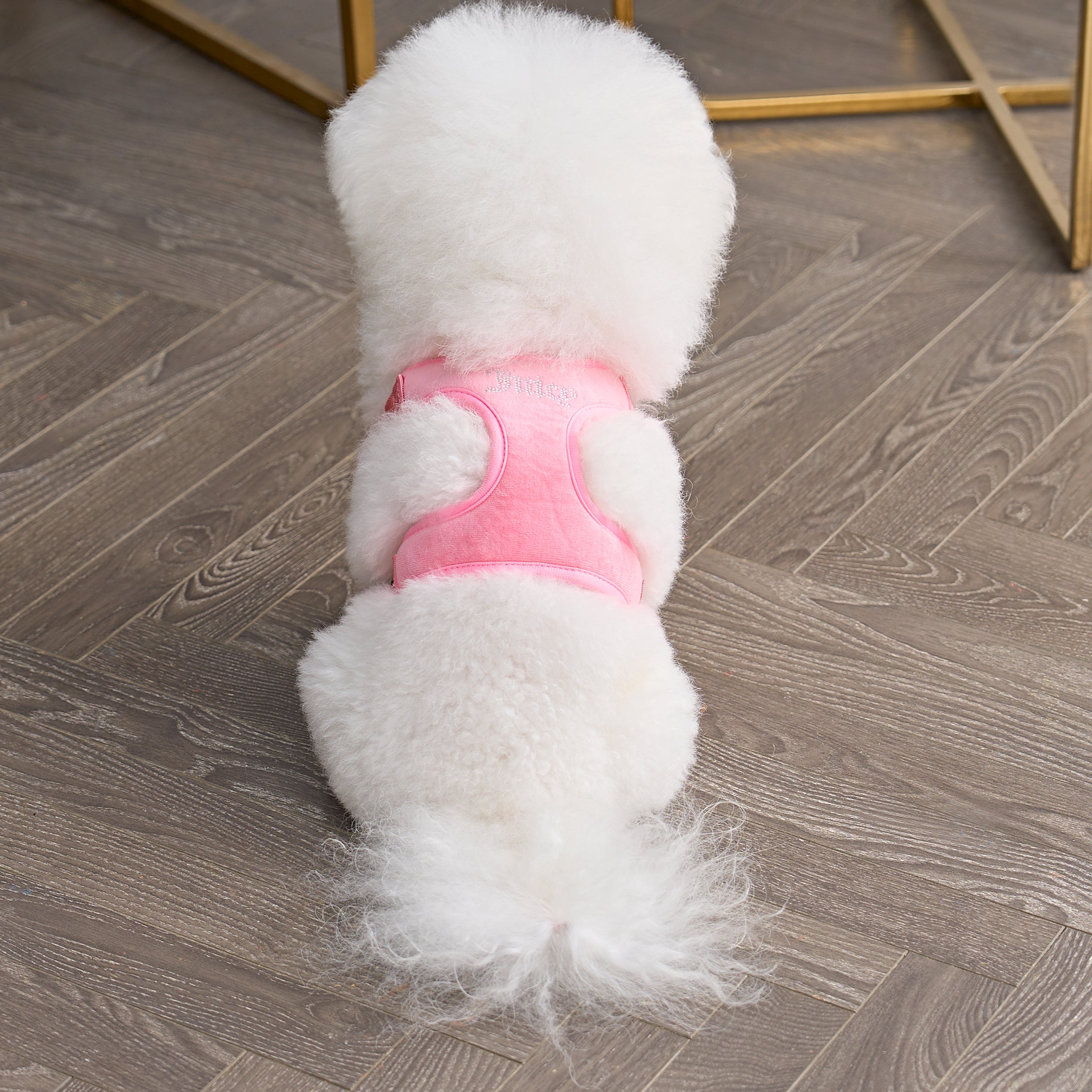 Couture dog harness hotsell