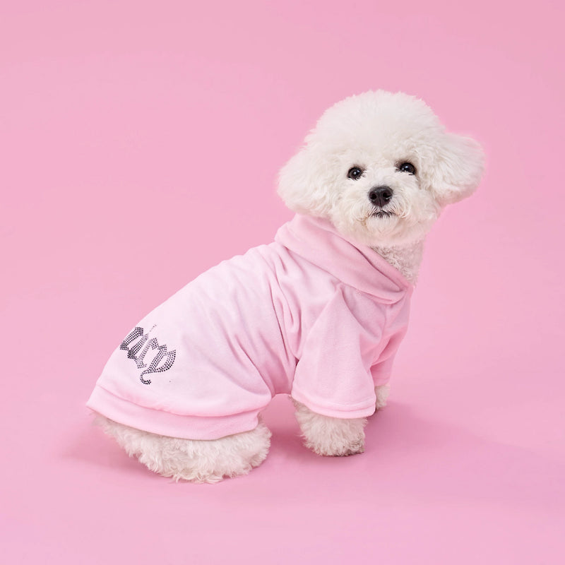 A fluffy white dog sits on a pink background, looking at the camera, dressed in the Bling Velour Pet Hoodie—a light pink designer sweater with “fairy” written on it.