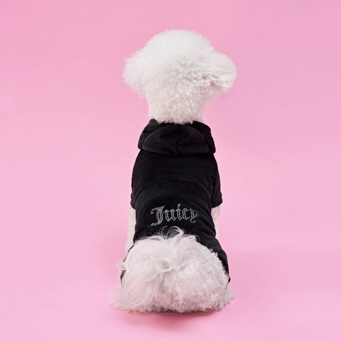 A small white dog sits on a pink background, facing away from the camera and showing off their playful sense of pet fashion in the Bling Velour Pet Tracksuit, which features “Juicy” written in rhinestones on the back.