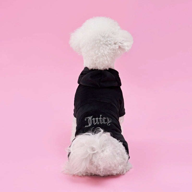 A small white dog sits on a pink background, facing away from the camera and showing off their playful sense of pet fashion in the Bling Velour Pet Tracksuit, which features “Juicy” written in rhinestones on the back.