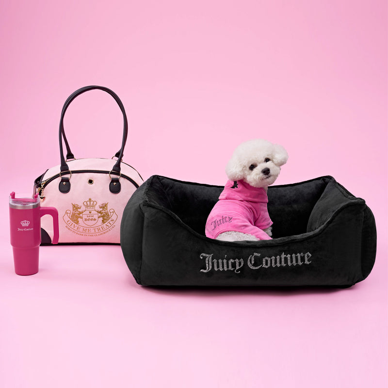 A small white dog wearing the Bling Velour Pet Tracksuit sits in a black Juicy Couture pet bed. Nearby are a pink Juicy Couture bag and a pink tumbler, all arranged against a pink background for the perfect touch of glamorous velour pet fashion.