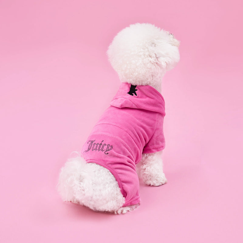 A small, fluffy white dog sits on a pink background, wearing the Bling Velour Pet Tracksuit featuring the word “Juicy” in glittery letters on the back—a perfect addition to any pet wardrobe for fans of playful pet fashion.