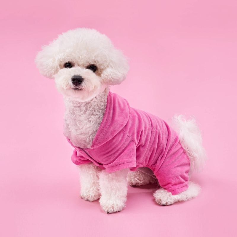 A small white fluffy dog sits on a matching pink background, looking at the camera while wearing the Bling Velour Pet Tracksuit—showcasing the latest in pet fashion and making an adorable addition to any stylish pet wardrobe.
