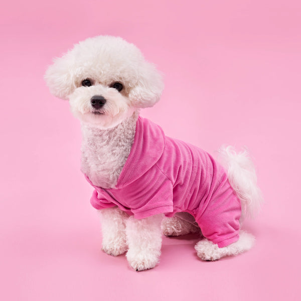 Bling Velour Pet Tracksuit - Juicy Couture