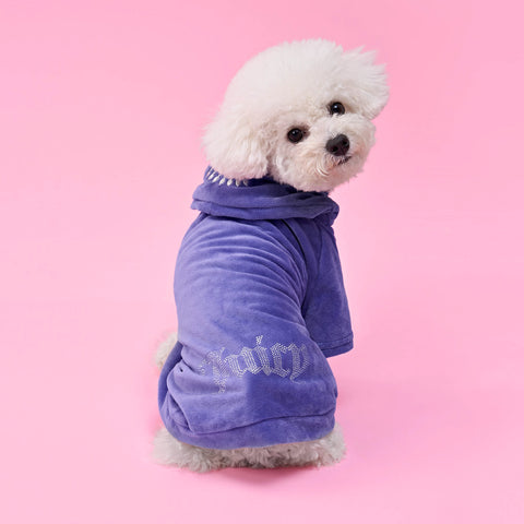 A fluffy white dog sits on a pink background, wearing a soft purple Bling Velour Pet Hoodie with silver lettering on the sleeve, looking over its shoulder toward the camera.