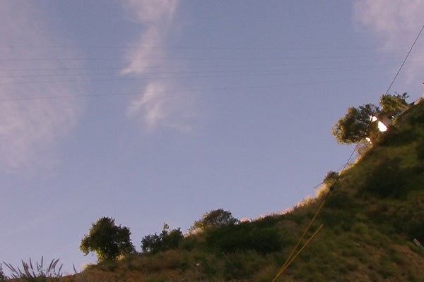 Hillside with trees and power lines against a blue sky