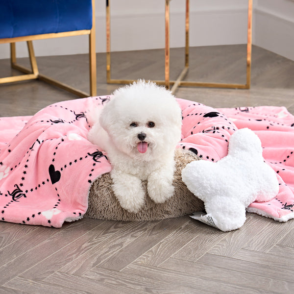 Pet Blanket & Pillow Set - Juicy Couture