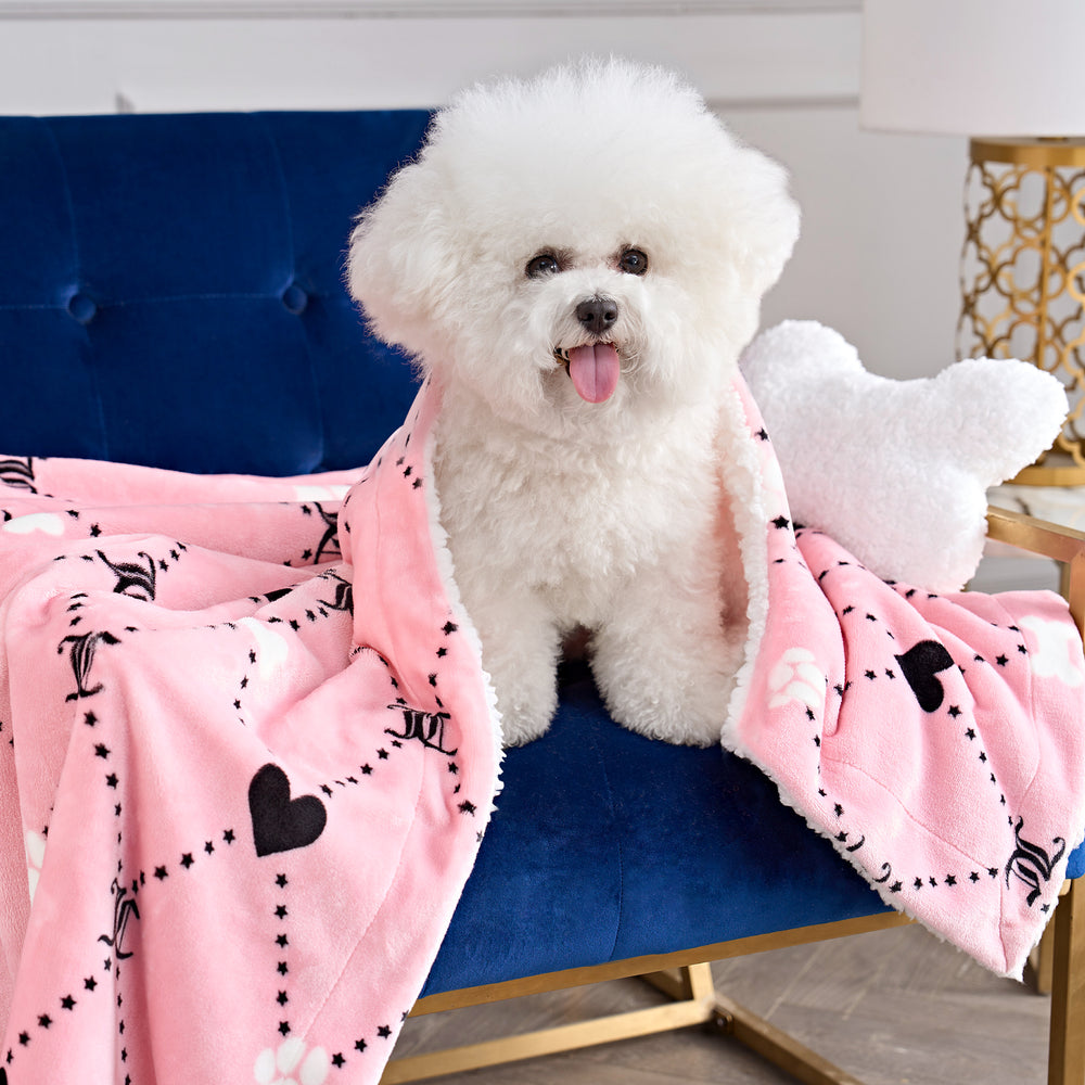 Pet Blanket & Pillow Set - Juicy Couture