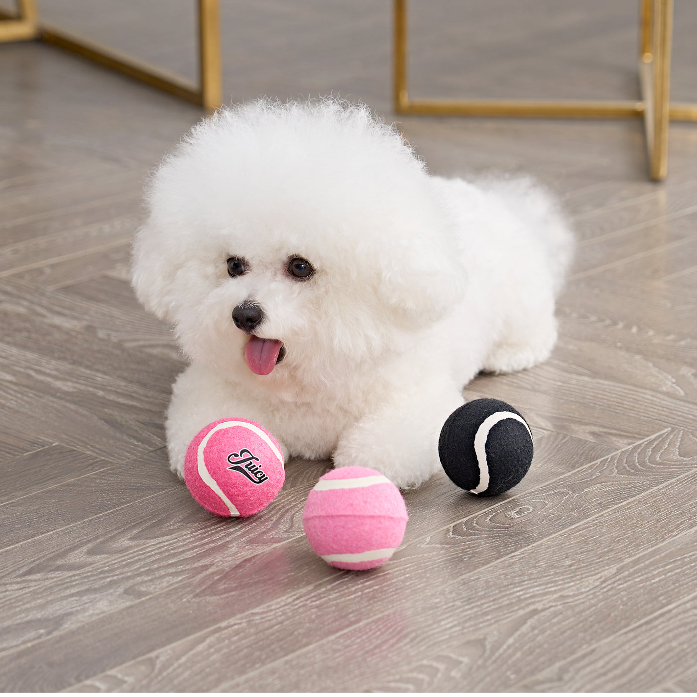 Tennis Balls For Pets - Juicy Couture