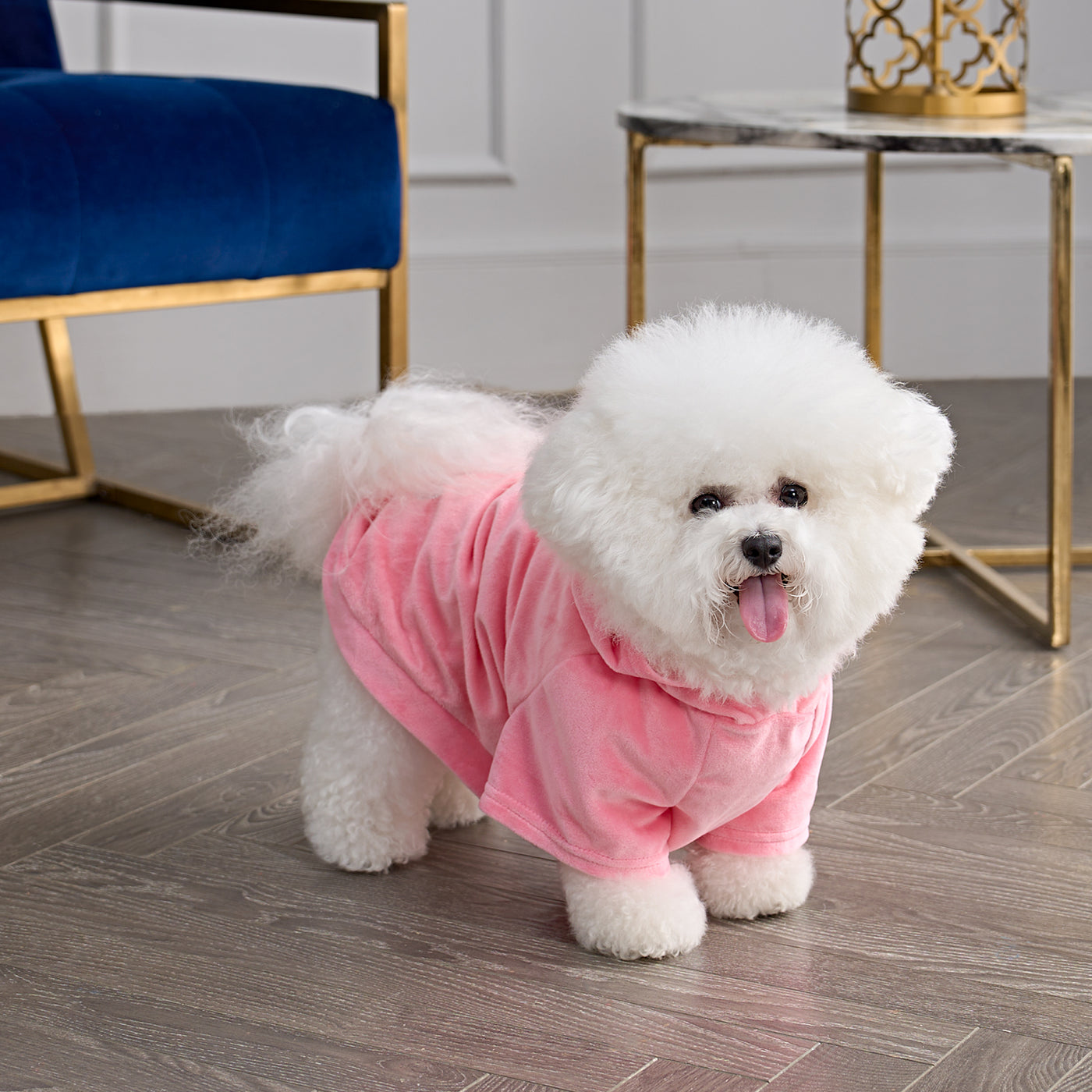 Bling Velour Pet Hoodie - Juicy Couture