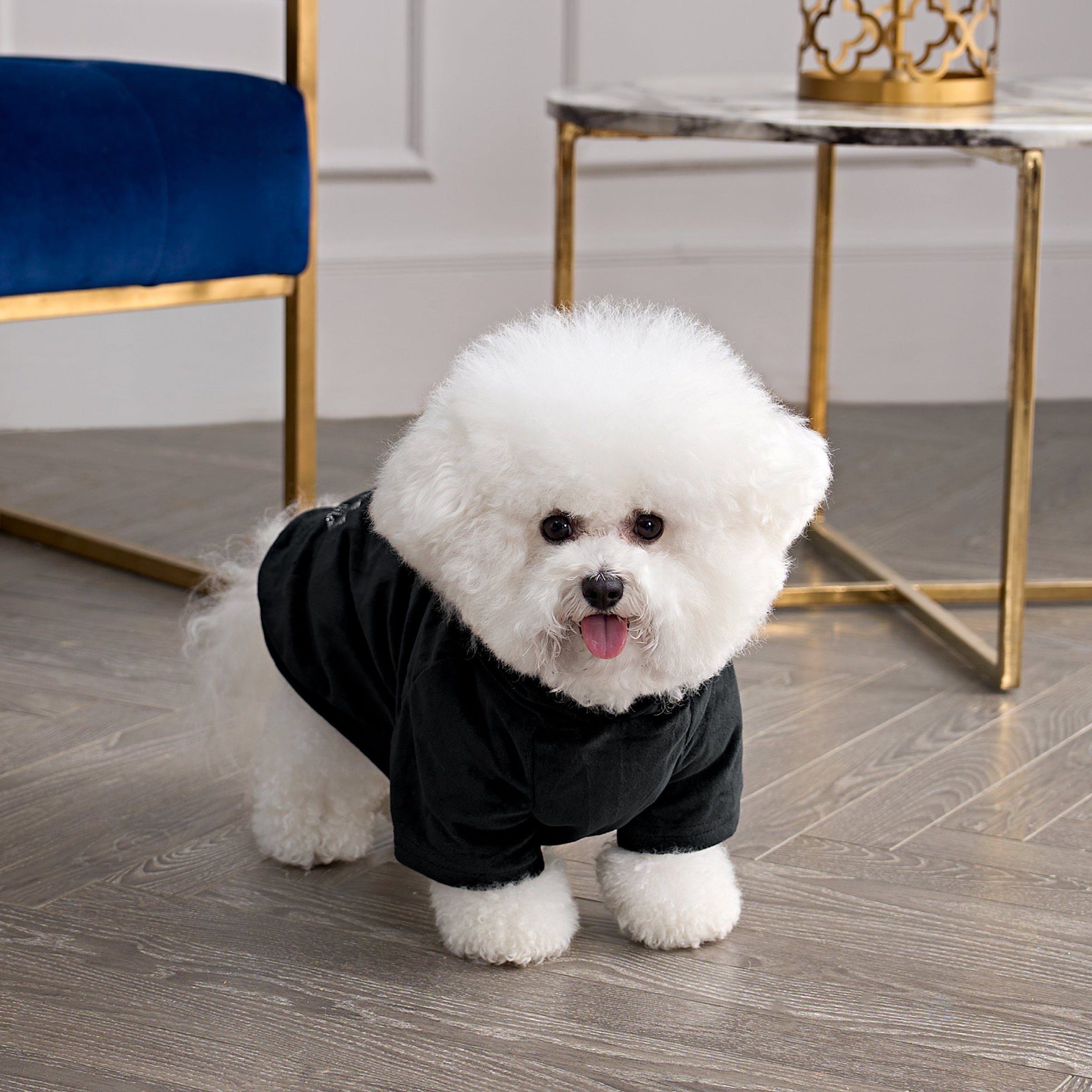 Bling Velour Pet Hoodie - Black - Juicy Couture