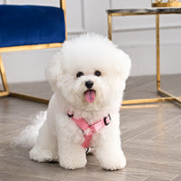 Bling Velour Pet Harness and Leash Set - Juicy Couture