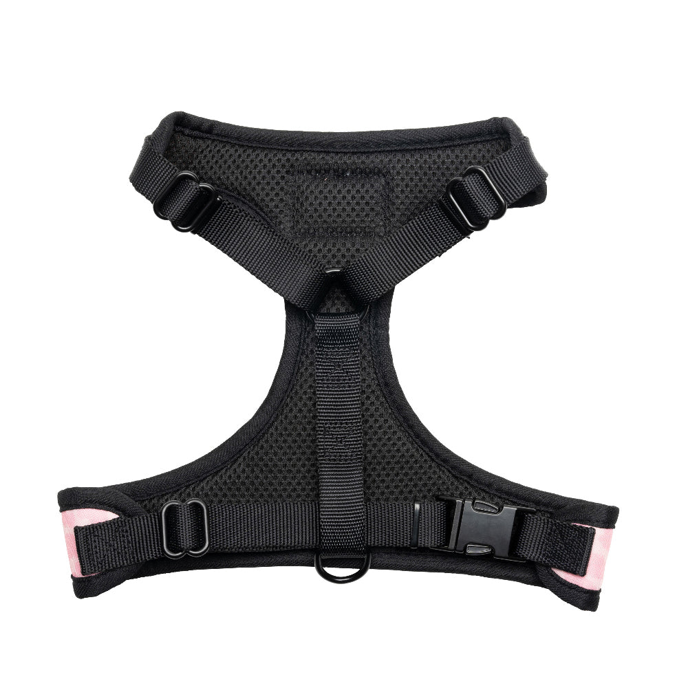 Harness & Leash Set - Juicy Couture