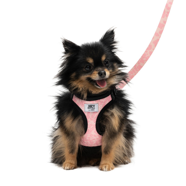 Harness & Leash Set - Juicy Couture