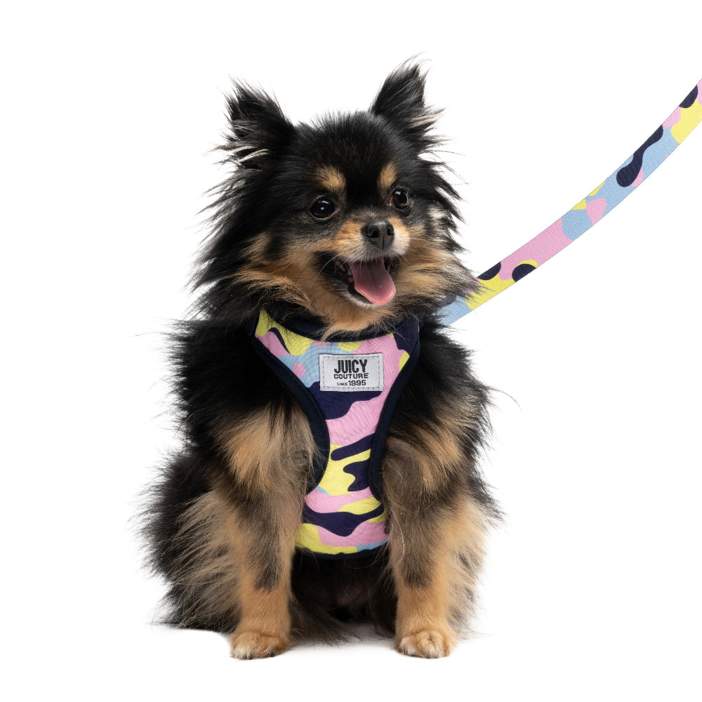 Harness & Leash Set - Juicy Couture