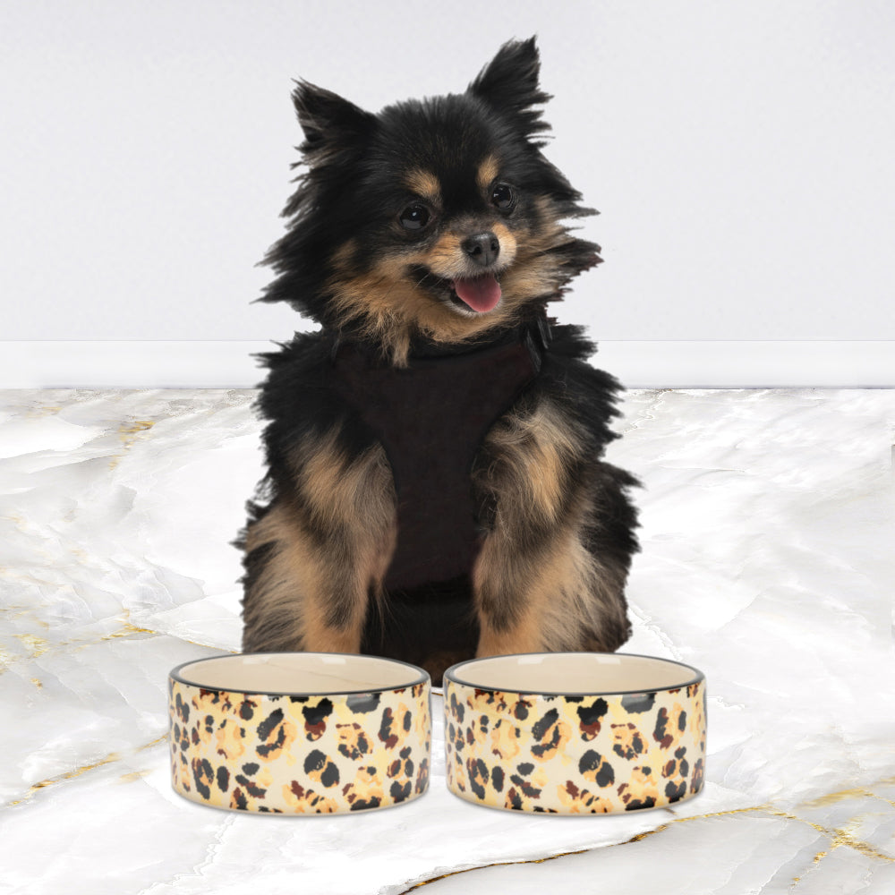 16oz Ceramic Bowl Set - Juicy Couture